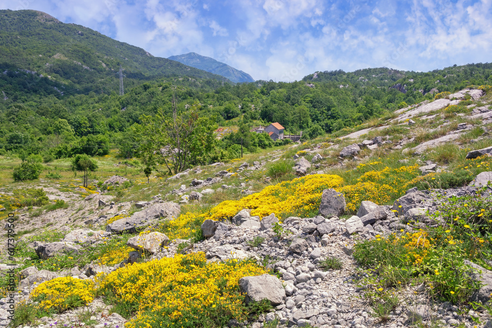 Dinaric Alps, beautiful summer mountain landscape. Montenegro, Sitnica region