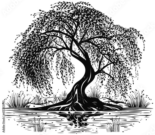 Willow Tree Black and White