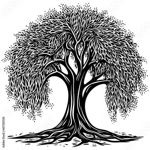 Willow Tree Black and White