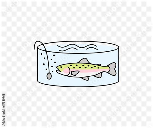 Fish farm or farming, rainbow trout in filtered pool, colored graphic design. Fish, fishing, animal, aquaculture, pisciculture and mariculture, vector design and illustration