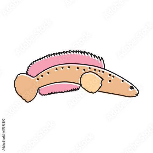 Snakehead Fish icon