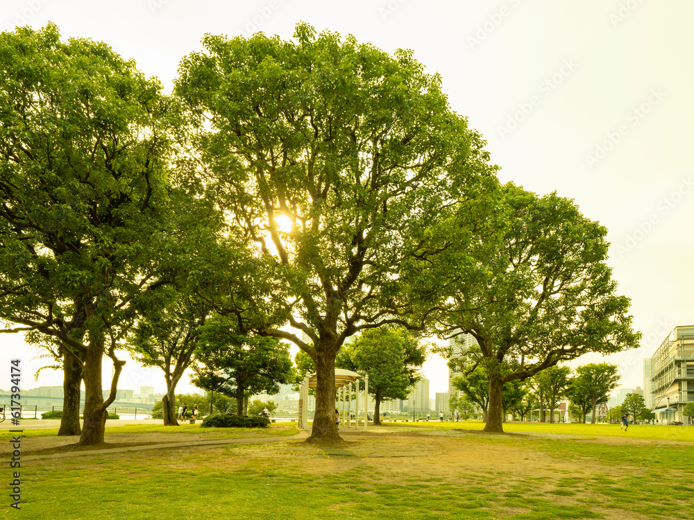 緑の豊洲公園