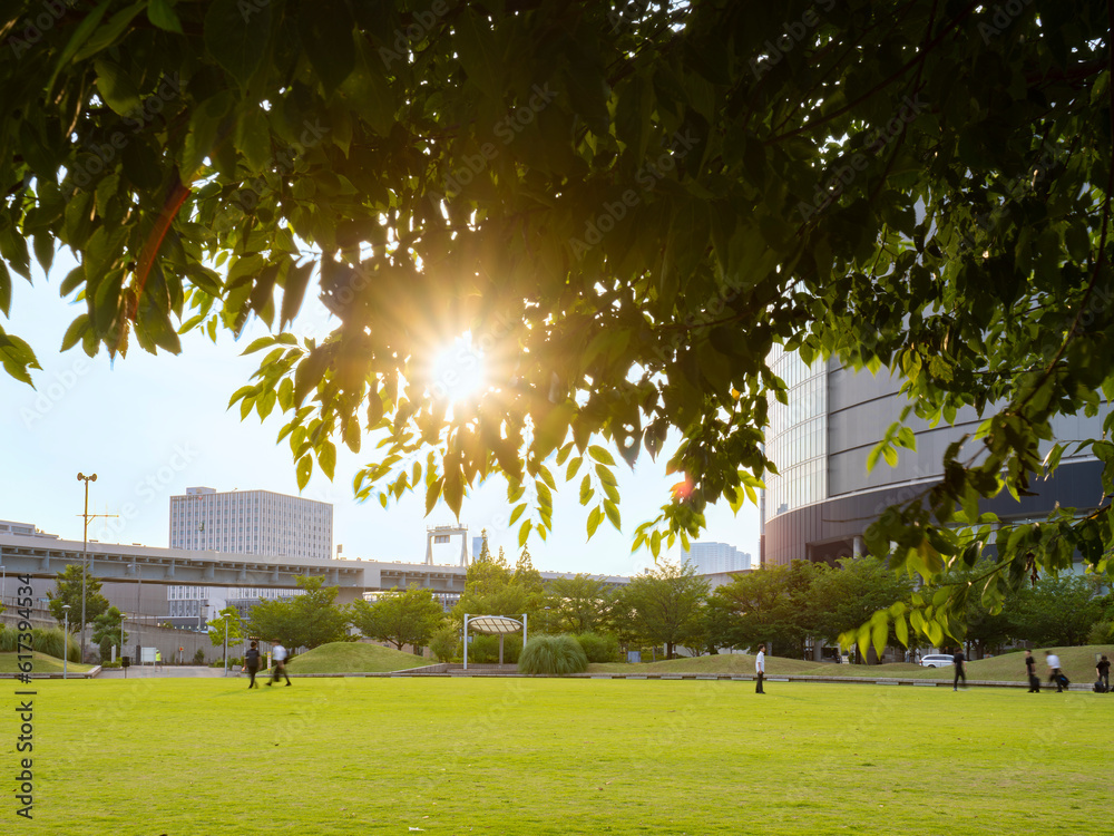 夕日の豊洲六丁目公園