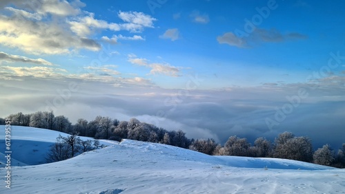 winter landscape with snow © Міша Сойма