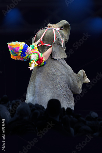 Circus Acrobat Rides An Elephant In Front Of A Large Crowd Of People