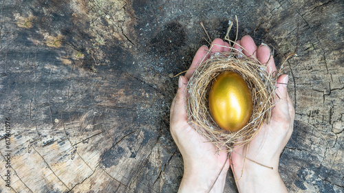 Foto Golden egg opportunity, concept of wealth, a chance to be rich in investment suc