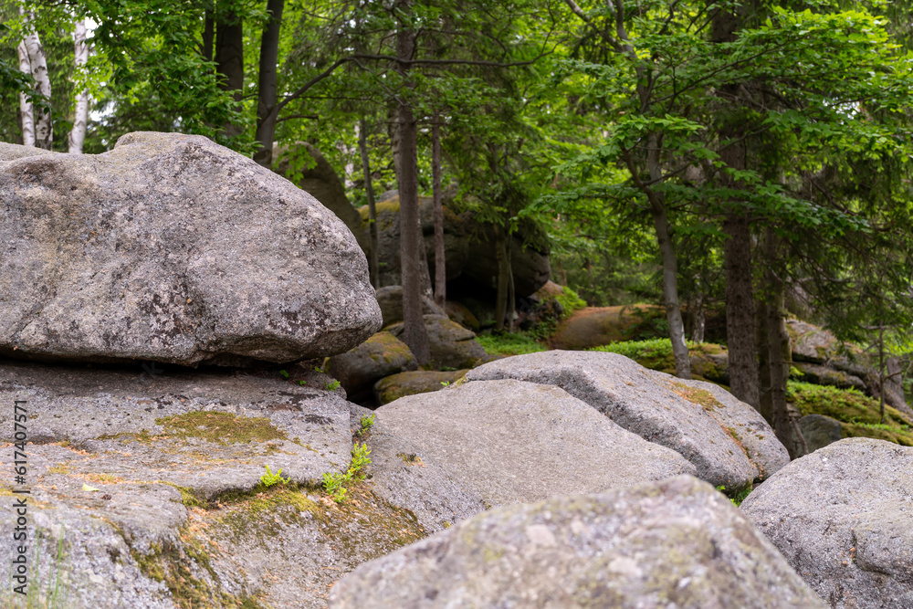 Serene Solitude: Majestic Rock Amidst an Enchanting Forestscape Serene Solitude: Majestic Rock Amidst an Enchanting Forestscape