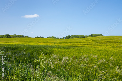 Rural landscape of Als  Denmark