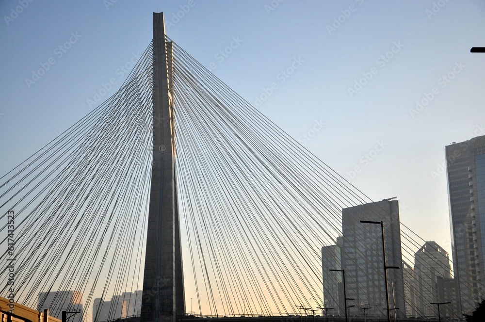 Naklejka premium Estaiada bridge