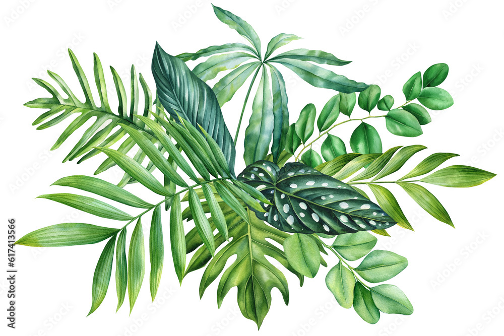 Green palm leaf, Watercolor Jungle green plant. Tropical leaves isolated on white background. Botanical illustration