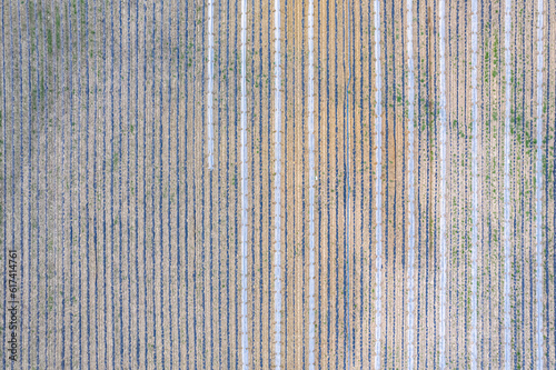 Drone Aerial Farmfield View  top down texture background shot  shot in Algarve region  Portugal.