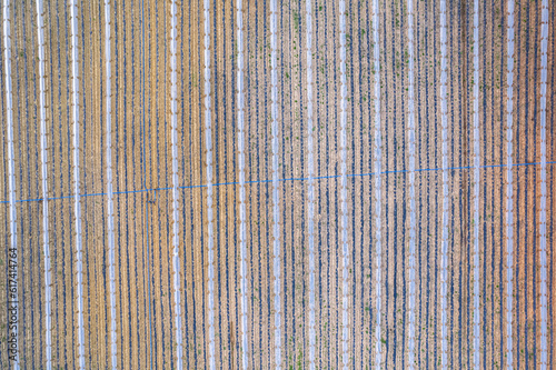 Drone Aerial Farmfield View, top down texture background shot, shot in Algarve region, Portugal.