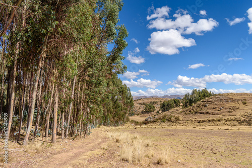 The landscape of the Urubamba province, view of the mountain range and hillside covered in trees. photo