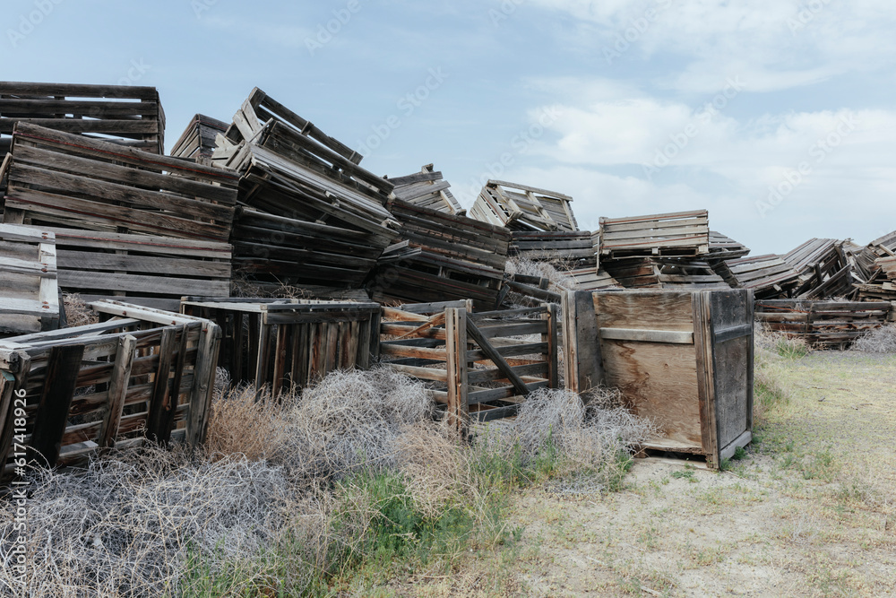 Pile of rotting discarded wooden fruit storage boxes or pallets, tumble