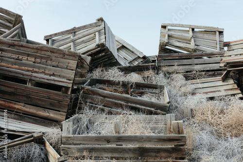 Pile of rotting discarded wooden fruit storage boxes or pallets, tumble weed scattered about.