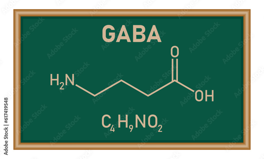 Chemical structure of γ-Aminobutyric acid or gamma-aminobutyric acid or GABA (C4H9NO2). Chemical resources for teachers and students. Vector illustration isolated on white background. Chemical structure of γ-Aminobutyric acid or gamma-aminobutyric acid or GABA (C4H9NO2). Chemical resources for teachers and students. Vector illustration isolated on white background.