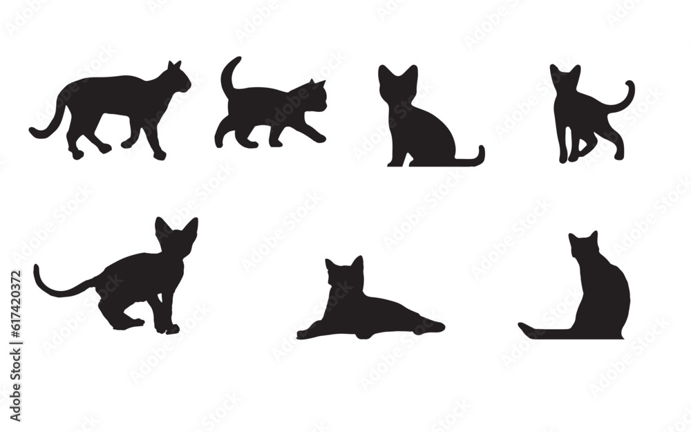 silhouette cat, silhouette cat,  silhouette