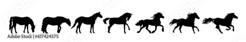 Horse different poses in silhouette. Set of wild stallion. Domestic mustang animal lives in a farm. Vector illustration pony