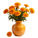 Marigolds in a ceramic pot isolated on transparent background 