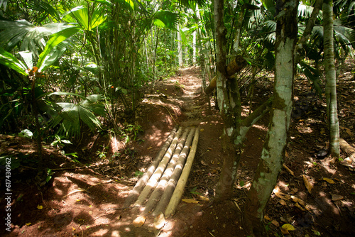 Walking around Chazuta town in the peruvian Jungle. photo