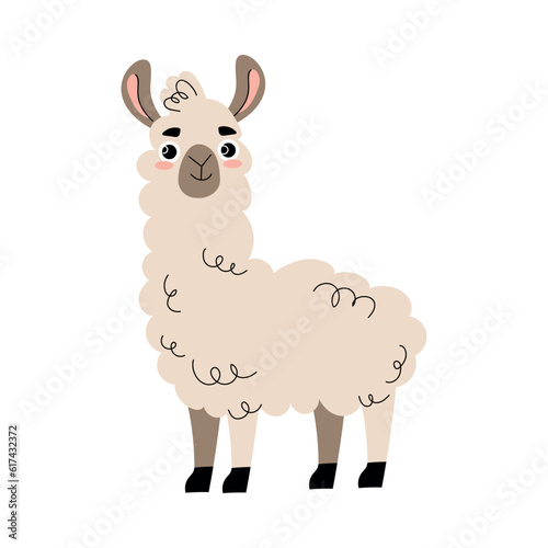 Cute Llama with Hoof and Wooly Coat as Farm Animal Vector Illustration
