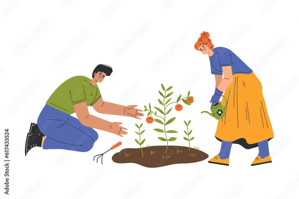 Happy Man and Woman Farmer Character Cultivating Tomato Crop Vector Illustration