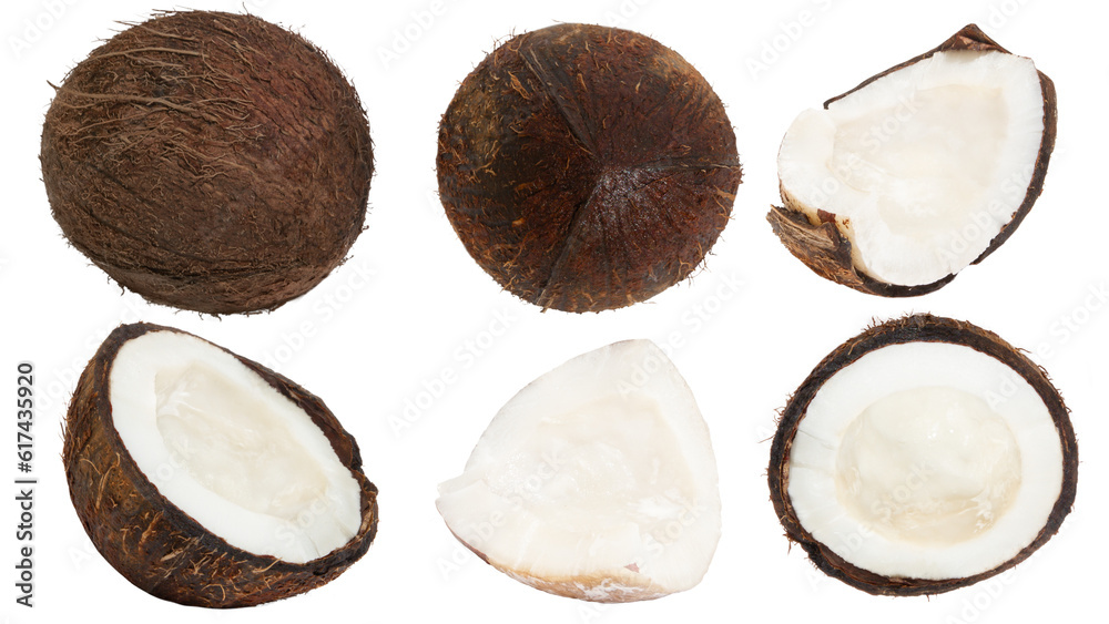 Set of whole coconuts and pieces of coconut on a blank background. PNG Set of whole coconuts and pieces of coconut on a blank background. PNG
