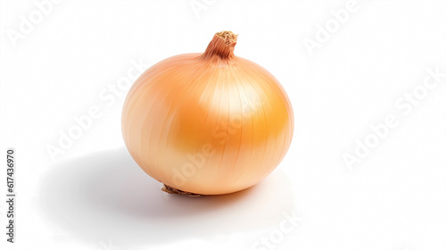 Onion on a white background 