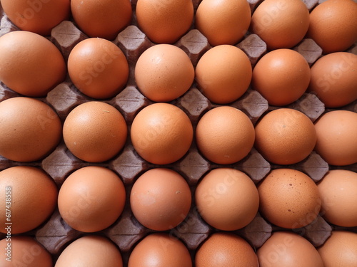 Huevos