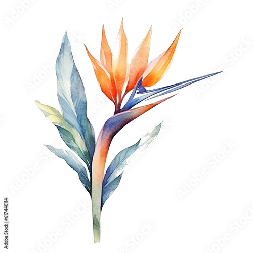 Cute watercolor strelitzia flower. Illustration Generative AI.