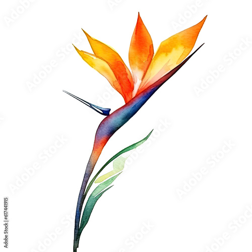 Cute watercolor strelitzia flower. Illustration Generative AI. © olegganko