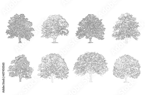 Minimal style cad tree line drawing, Side view, set of graphics trees elements outline symbol for architecture and landscape design drawing. Vector illustration in stroke fill in white. Tropical