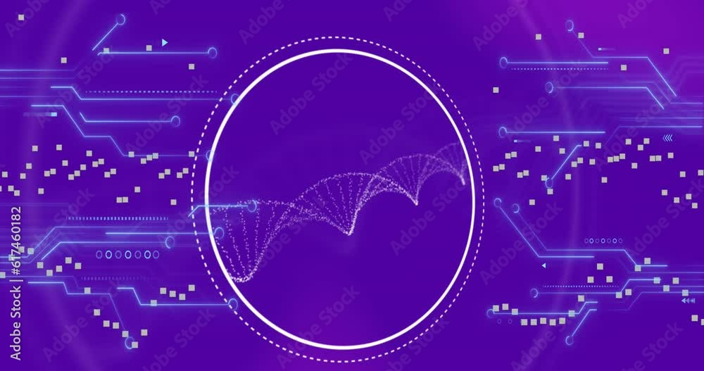 Animation of spinning dna structure and microprocesor connections against purple gradient background Animation of spinning dna structure and microprocesor connections against purple gradient background