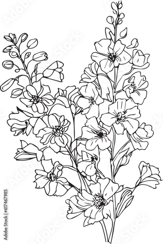 Fotografiet Delphinium flower line art, flower coloring pages for adult, pretty flower color