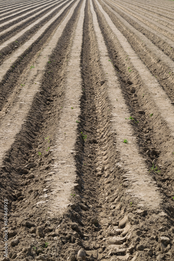 plowed field in spring plowed field in spring