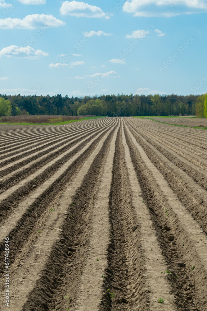 plowed field in spring