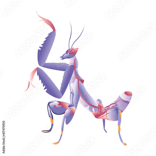 Vector Cartoon Orchid mantis Character isolated illustration