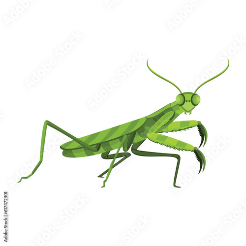 Vector Cartoon praying mantis Character isolated illustration