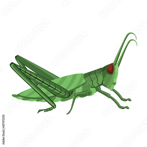 Vector Cartoon Grasshopper Character isolated illustration
