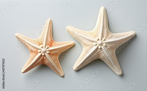 Distinct duo of starfish on white, top view, subtle shadows, flat lay design, marine life representation, Generative AI, Generative, KI 