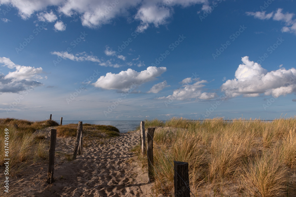 Strandbild mit Dünen an der Ostsee im Sommer