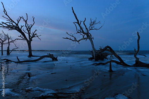 Driftwood beach at Jekyll Island in Georgia in the blue hour