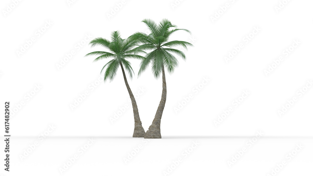 Obraz premium Palm trees on transparent background