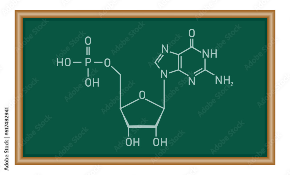 Fototapeta premium Chemical structure of DNA nucleotide. Three parts of a nucleotide. Phosphate group, pentose sugar and nitrogenous base. Nucleic acids. Chemistry resources for teachers and students.
