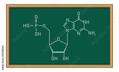 Chemical structure of DNA nucleotide. Three parts of a nucleotide. Phosphate group, pentose sugar and nitrogenous base. Nucleic acids. Chemistry resources for teachers and students.