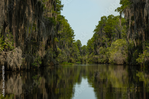 swamp landscape in the Okefenokee National Wildlife Refuge in Georgia photo