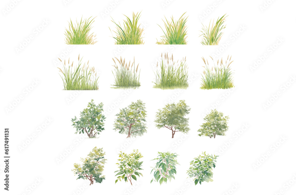 bush, shurb watercolor vector illustration, Minimal style tree painting hand drawn, Side view, set of graphics plant elements drawing for architecture and landscape design. Tropical
