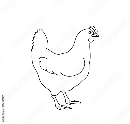 Foto Vector isolated one single chicken hen fowl bird standing side view colorless bl