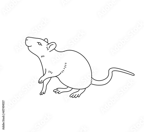 Vector isolated one single cute cartoon rat mouse pet domestic colorless black and white contour line easy drawing