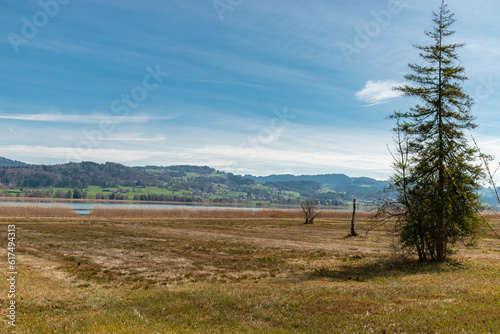 Fototapeta Naklejka Na Ścianę i Meble -  Rural scenery at the lake Pfaeffikersee in Zurich in Switzerland
